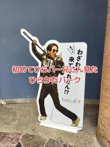 野良猫　イチくんとナナちゃんのTikTok投稿