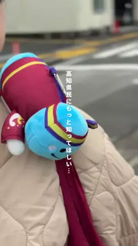 高知の山崎夫婦のTikTok投稿