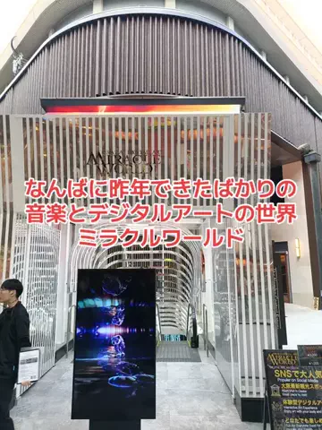 野良猫　イチくんとナナちゃんのTikTok投稿
