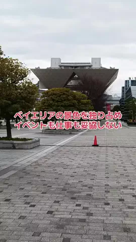 野良猫　イチくんとナナちゃんのTikTok投稿