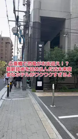 野良猫　イチくんとナナちゃんのTikTok投稿