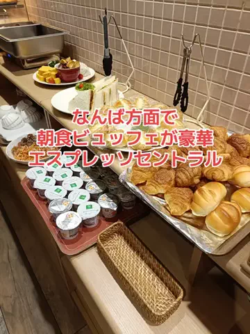 野良猫　イチくんとナナちゃんのTikTok投稿