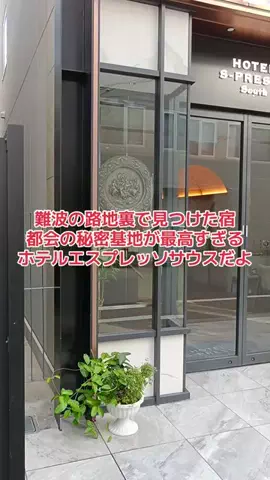 野良猫　イチくんとナナちゃんのTikTok投稿