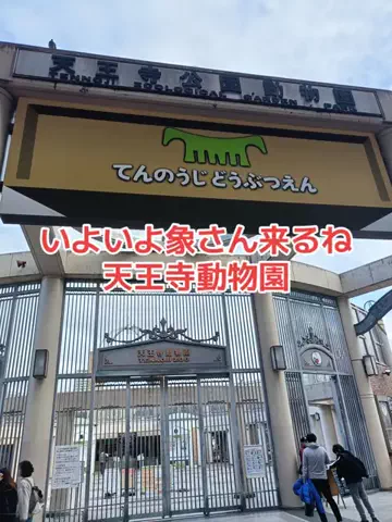 野良猫　イチくんとナナちゃんのTikTok投稿