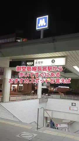 野良猫　イチくんとナナちゃんのTikTok投稿
