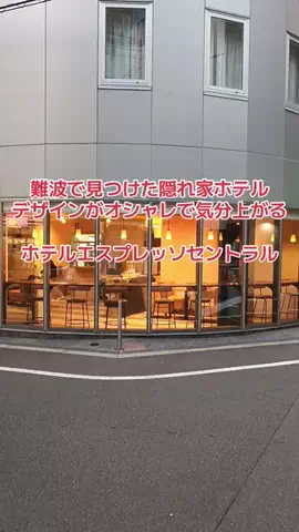 野良猫　イチくんとナナちゃんのTikTok投稿