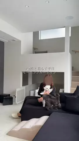まろのTikTok投稿