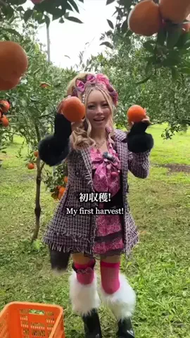 日本ギャル協会｜Japan Gyaru Assoc.のTikTok投稿