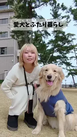おにゅこじハウスのTikTok投稿