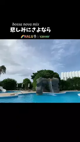 🌈NALU☺︎ナルーのTikTok投稿
