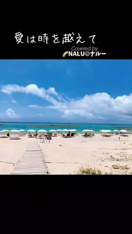 🌈NALU☺︎ナルーのTikTok投稿