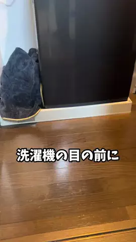 アキラ【Akira】のTikTok投稿