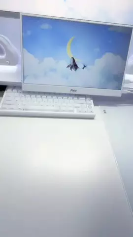 SのTikTok投稿
