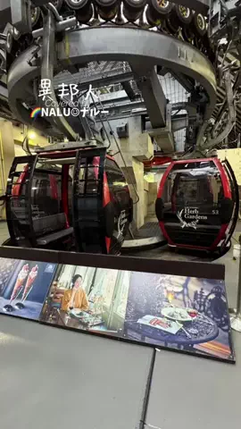 🌈NALU☺︎ナルーのTikTok投稿