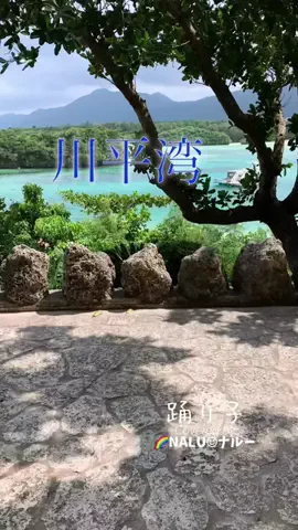 🌈NALU☺︎ナルーのTikTok投稿