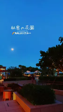 🌈NALU☺︎ナルーのTikTok投稿
