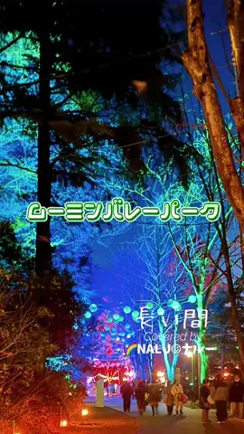 🌈NALU☺︎ナルーのTikTok投稿