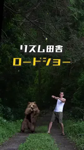田舎民カイジのTikTok投稿