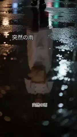 qin mi1155のTikTok投稿