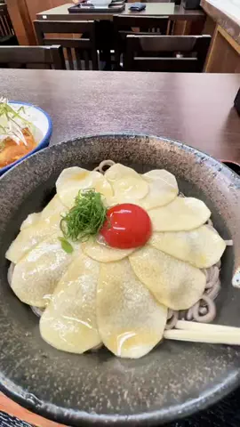 kyoppi2のTikTok投稿