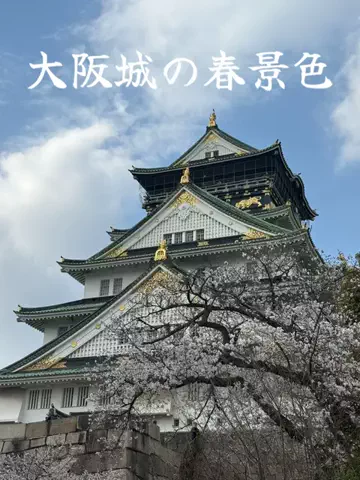 たびまちあるきのTikTok投稿