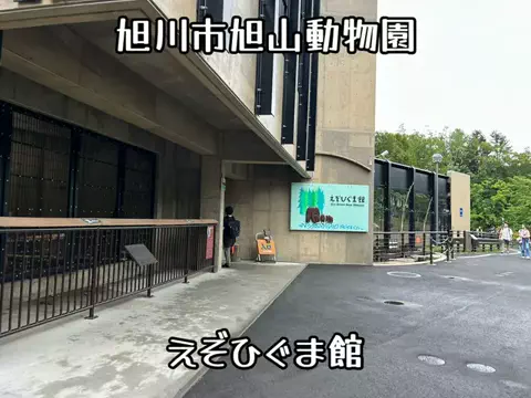 たびまちあるきのTikTok投稿