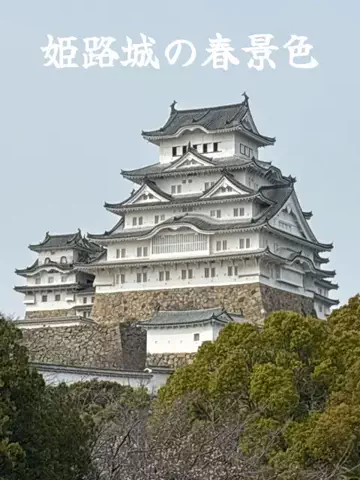 たびまちあるきのTikTok投稿