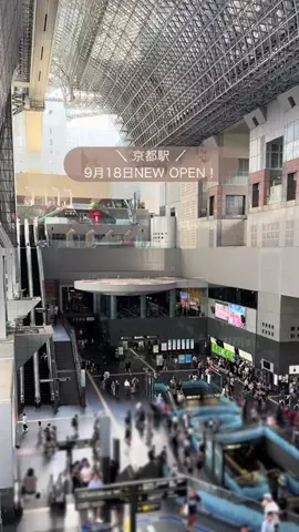 kon.kyototripのTikTok投稿