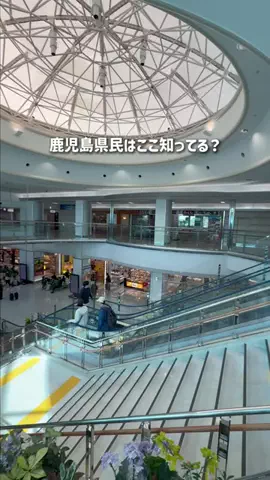 鹿児島グルメ／KAGOSHIMA SELECTのTikTok投稿