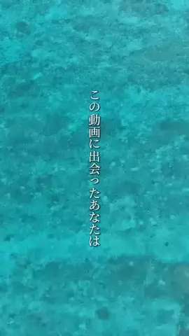 鹿児島グルメ／KAGOSHIMA SELECTのTikTok投稿