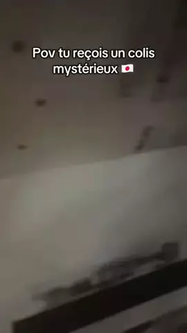 Haneka UtaのTikTok投稿