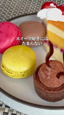 しゃま ✈️ ⁑ travelerのTikTok投稿