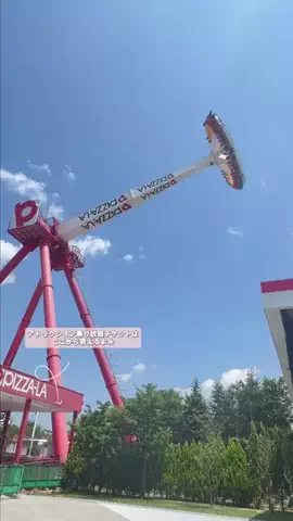 しゃま ✈️ ⁑ travelerのTikTok投稿