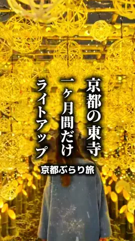 京都ぶらり旅のTikTok投稿
