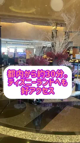 阿川麻美 Asami AgawaのTikTok投稿