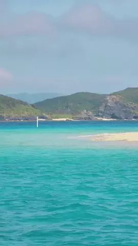 沖縄グルメ／OKINAWA SELECTのTikTok投稿