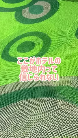 阿川麻美 Asami AgawaのTikTok投稿