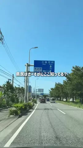 沖縄グルメ／OKINAWA SELECTのTikTok投稿