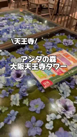 今日はもう帰らない女のTikTok投稿