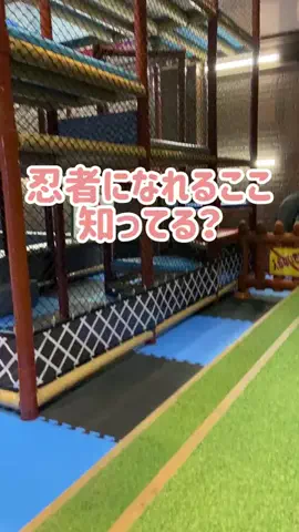 阿川麻美 Asami AgawaのTikTok投稿