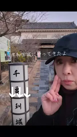 高齢乙女のTikTok投稿