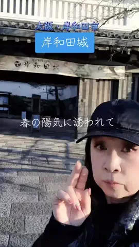 高齢乙女のTikTok投稿
