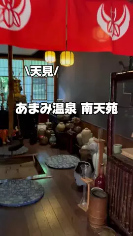 今日はもう帰らない女のTikTok投稿
