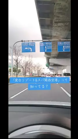 高齢乙女のTikTok投稿