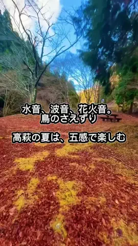 茨城と栃木の県境に住んでいますのTikTok投稿