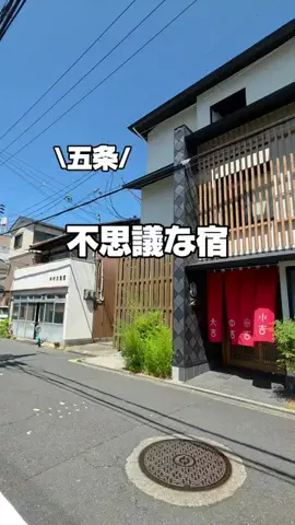 今日はもう帰らない女のTikTok投稿