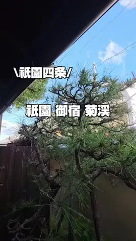 今日はもう帰らない女のTikTok投稿