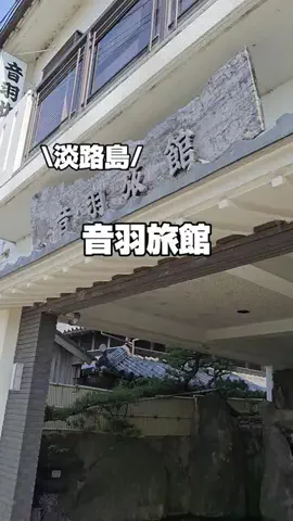 今日はもう帰らない女のTikTok投稿