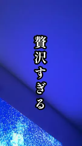 えーママ｜ズボラママのアイディア収納術のTikTok投稿