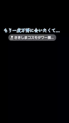 高齢乙女のTikTok投稿